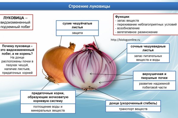 Кракен даркнет не работает