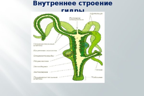 Дарк нет вход