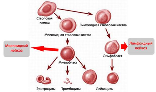 Ссылка на кракен 11