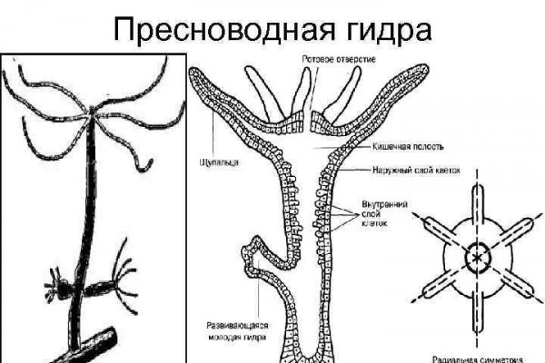 Кракен зайти зеркало